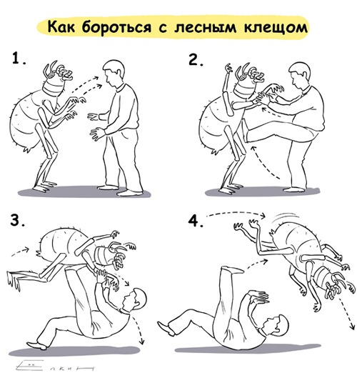 x_4d7cc830.jpg