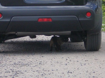 P7140057_resize.JPG