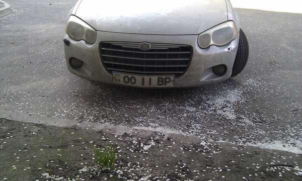 IMAG0933.jpg