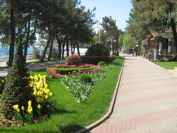 IMG_3910_новый размер.JPG