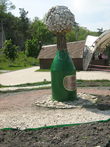IMG_3754_новый размер.JPG