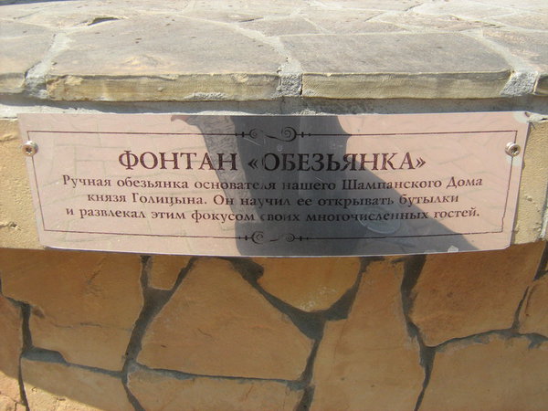 табличка обзъянке.JPG