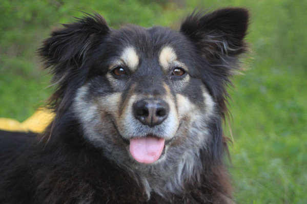 getImageCAQDYFA4.jpg (43.76 KiB) Просмотров: 1409 getImageCAQDYFA4.jpg