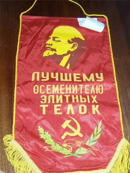 26690294baf9[1].jpg