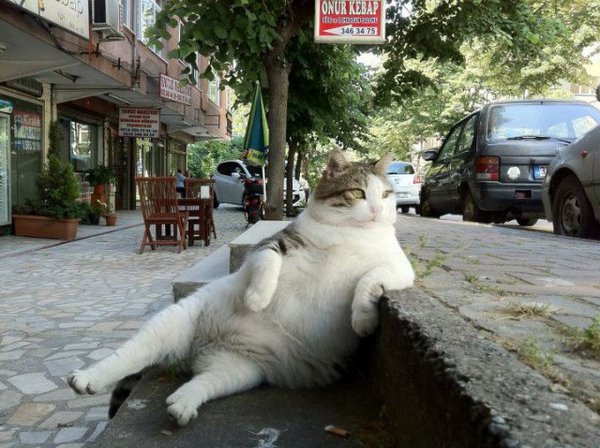 post-3-13389651429736[1].jpg