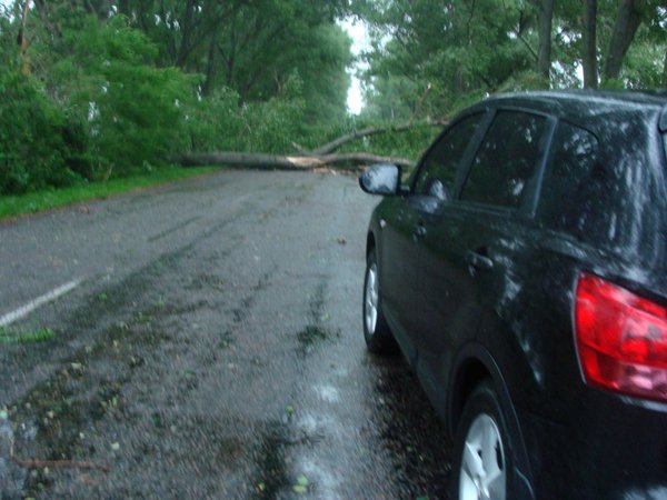 DSC05988.JPG (201.28 KiB) Просмотров: 9982 DSC05988.JPG