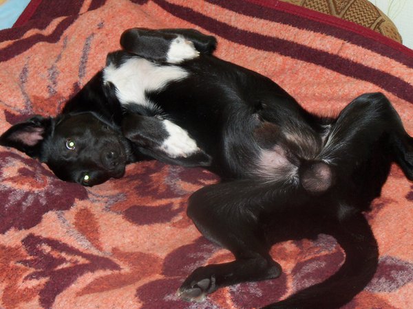 100_0464.JPG (1009.06 KiB) Просмотров: 1645 100_0464.JPG