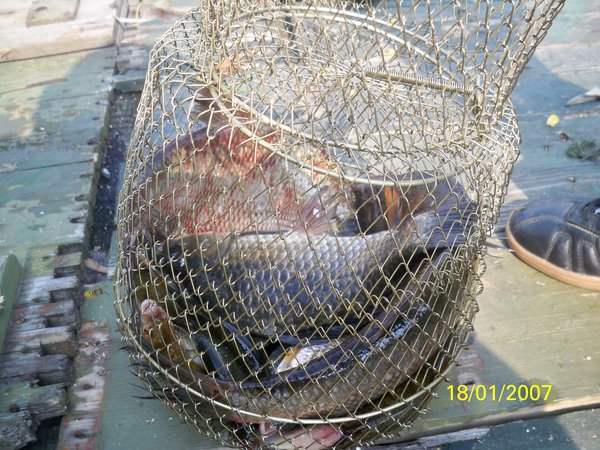 100_4995 - копия.JPG (1017.09 KiB) Просмотров: 2025 100_4995 - копия.JPG