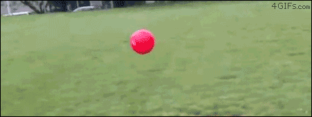 90288730373944362126.gif
