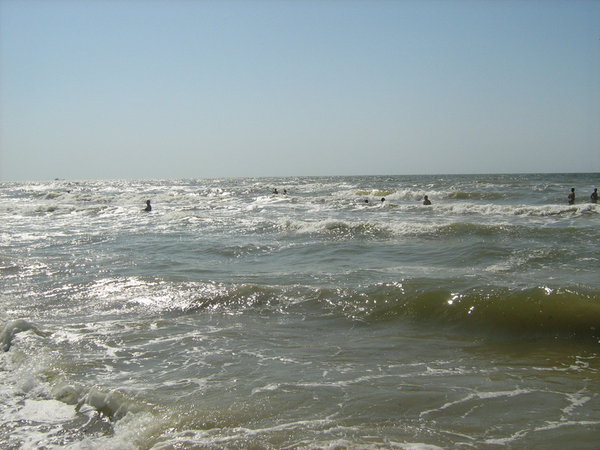 IMG_4116_новый размер.JPG (183.44 KiB) Просмотров: 7583 IMG_4116_новый размер.JPG