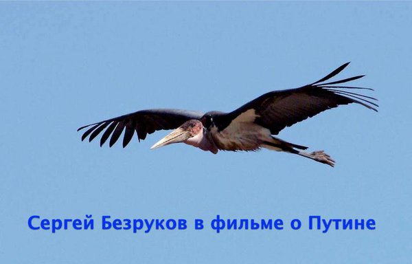5434953_original.jpg