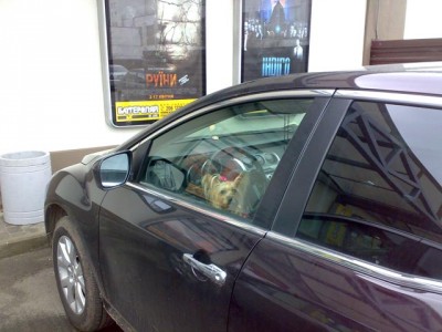 blond.jpg (84.4 KiB) Просмотров: 7356 blond.jpg