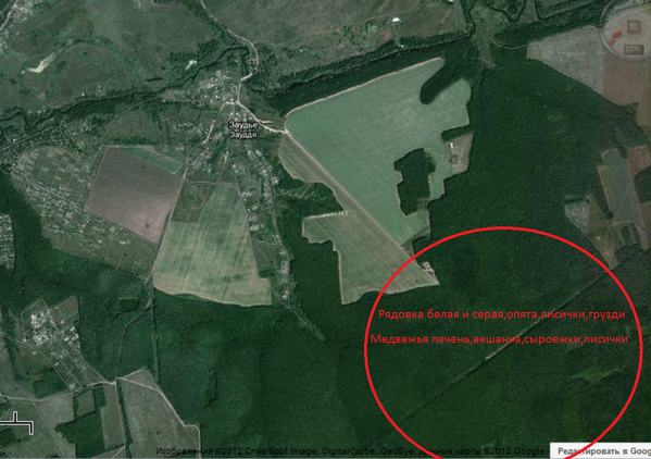 Снимок.PNG (1.11 MiB) Просмотров: 1691 Снимок.PNG