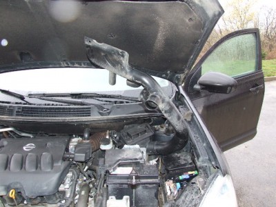 цуцики 027.jpg (111.62 KiB) Просмотров: 8678 цуцики 027.jpg