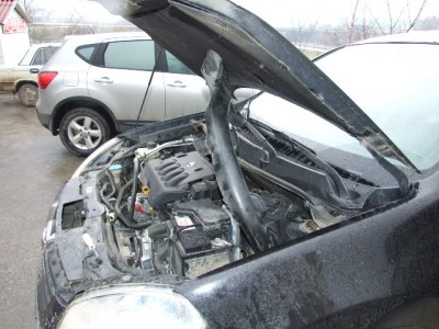 цуцики 028.jpg (117.02 KiB) Просмотров: 8667 цуцики 028.jpg