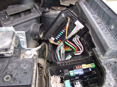 цуцики 023.jpg (115.22 KiB) Просмотров: 3738 цуцики 023.jpg