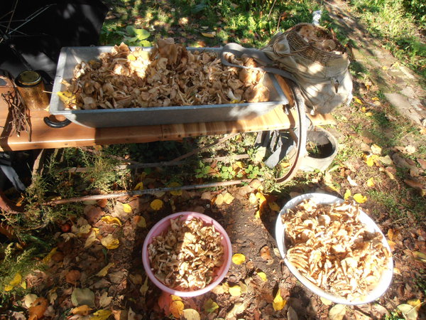 PA063700.JPG