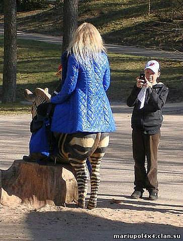 ноги.jpeg