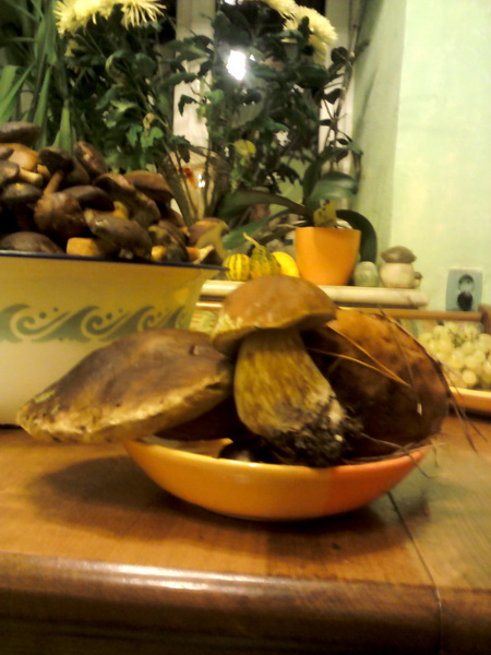 IMG216_новый размер.jpg