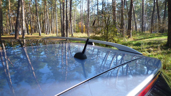 P1020990.JPG (3.68 MiB) Просмотров: 4405 P1020990.JPG