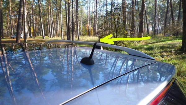 P10209910.JPG (1.72 MiB) Просмотров: 4387 P10209910.JPG