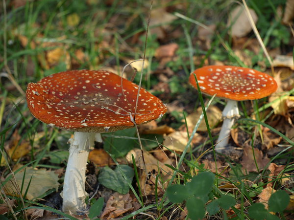 PA074274.JPG