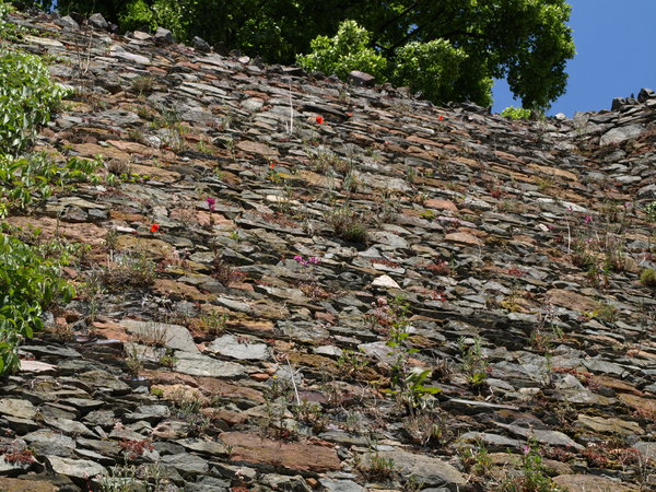 P5183336.JPG (2.13 MiB) Просмотров: 5888 P5183336.JPG