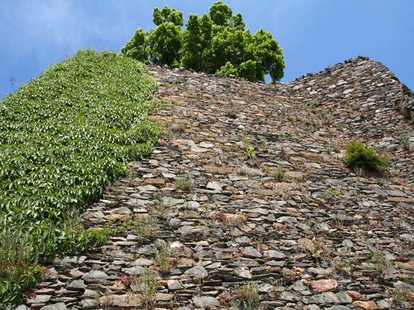 P5183335.JPG (2.05 MiB) Просмотров: 5901 P5183335.JPG