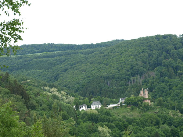 P5193401.JPG (2.08 MiB) Просмотров: 5766 P5193401.JPG