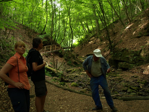 P5193396.JPG (2.38 MiB) Просмотров: 5766 P5193396.JPG