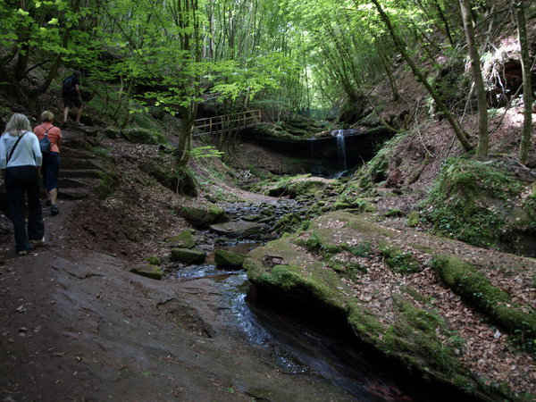 P5193389.JPG (2.26 MiB) Просмотров: 5766 P5193389.JPG