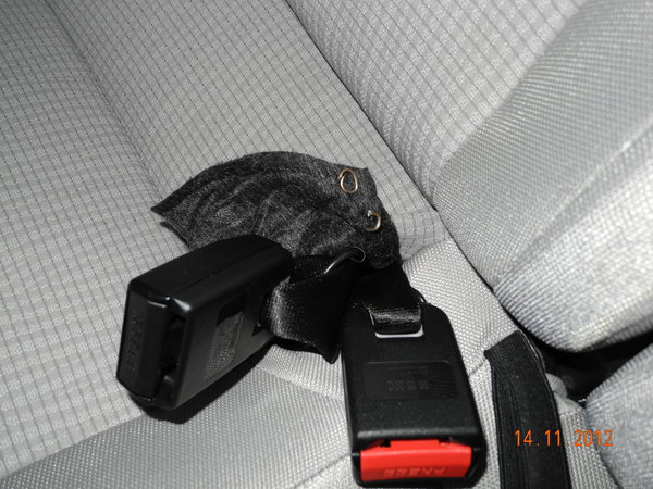 DSCN8258.jpg (4.38 MiB) Просмотров: 1616 DSCN8258.jpg