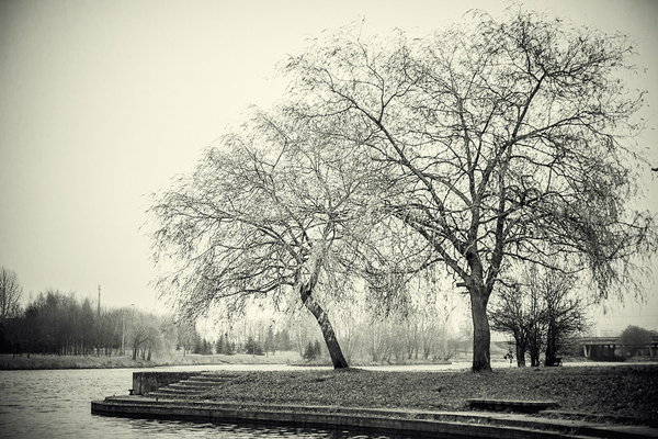 _MG_0008.jpg