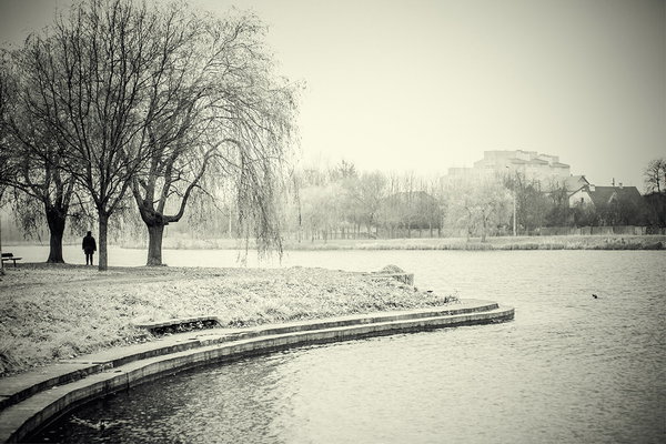 _MG_0010.jpg