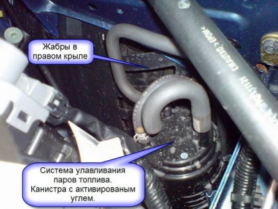 evap.JPG (114.7 KiB) Просмотров: 2936 evap.JPG