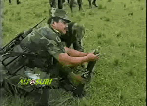 thumbs[1].gif