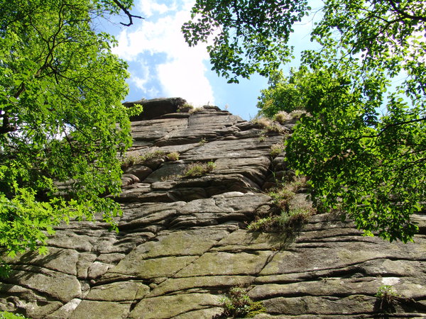 DSC08422.JPG
