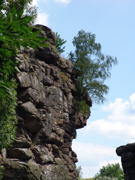 DSC08454.JPG