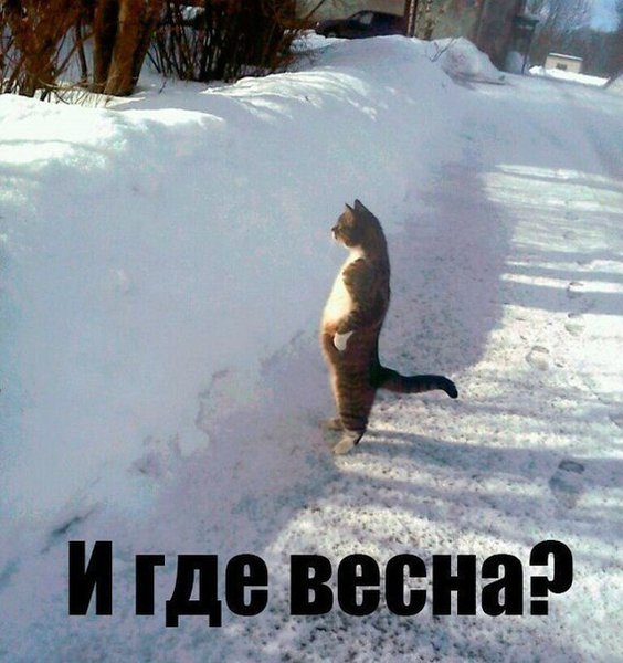 Gde_vesna.jpg