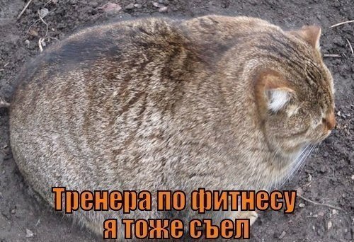 SxLkmRx4KNM.jpg