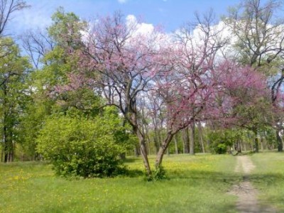 Фото120r.jpg (40.37 KiB) Просмотров: 10466 Фото120r.jpg