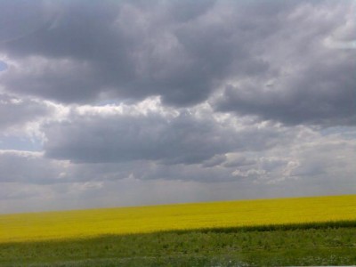 Фото144a.jpg (23.41 KiB) Просмотров: 10907 Фото144a.jpg