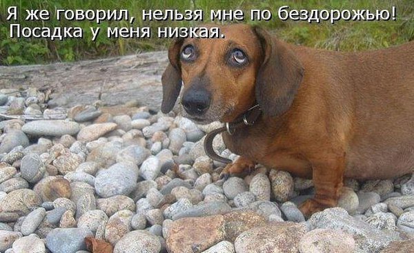 Посадка.jpg