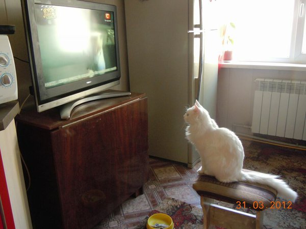 DSCN2520.JPG