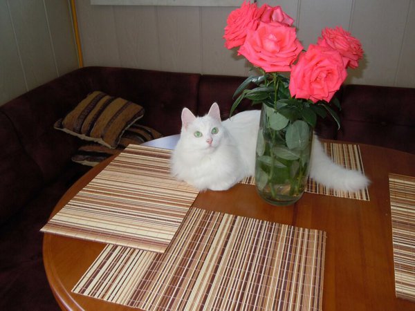 DSCN0073.JPG
