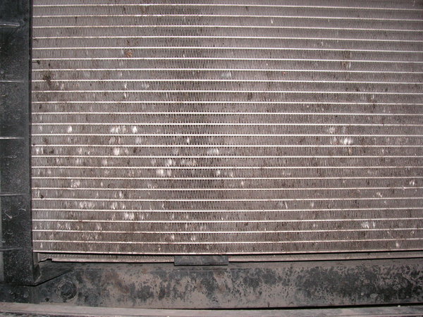 2.jpg (444.13 KiB) Просмотров: 7601 2.jpg