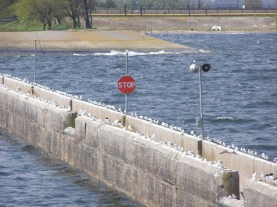 P1012657.JPG (83.72 KiB) Просмотров: 2545 P1012657.JPG