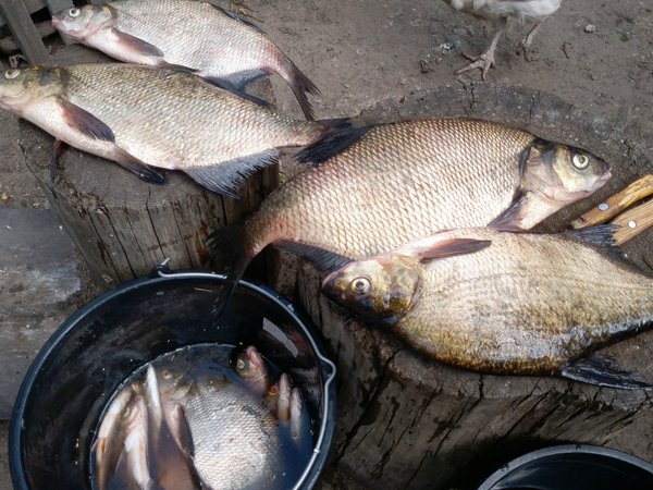 2013-06-09-0042 - копия.jpg (1.21 MiB) Просмотров: 1630 2013-06-09-0042 - копия.jpg