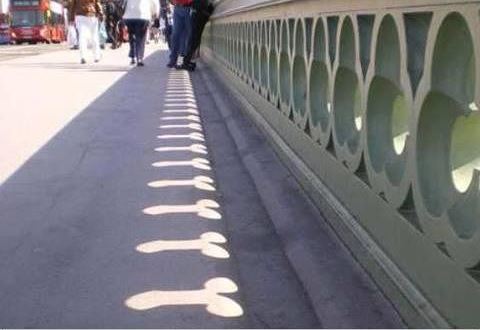 sun_designer.jpg