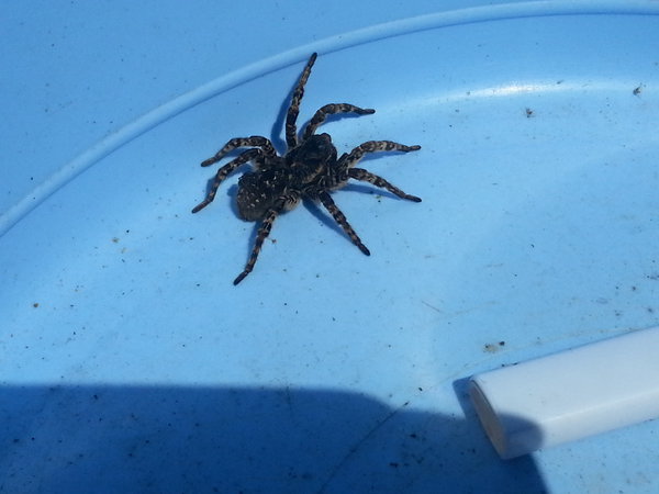 20130525_112113.jpg